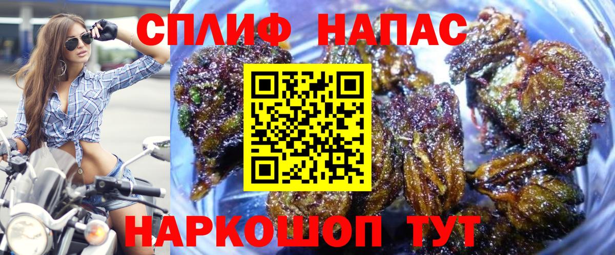 Каннабис планчик  МАРИХУАНА гибрид  Конопля сатива  Вход с VPN  Каннабис AK-47  Кстово 